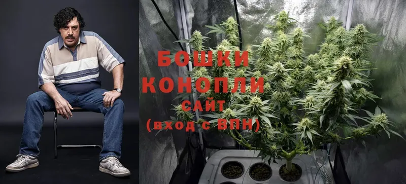 сколько стоит  Гаврилов Посад  Марихуана OG Kush 